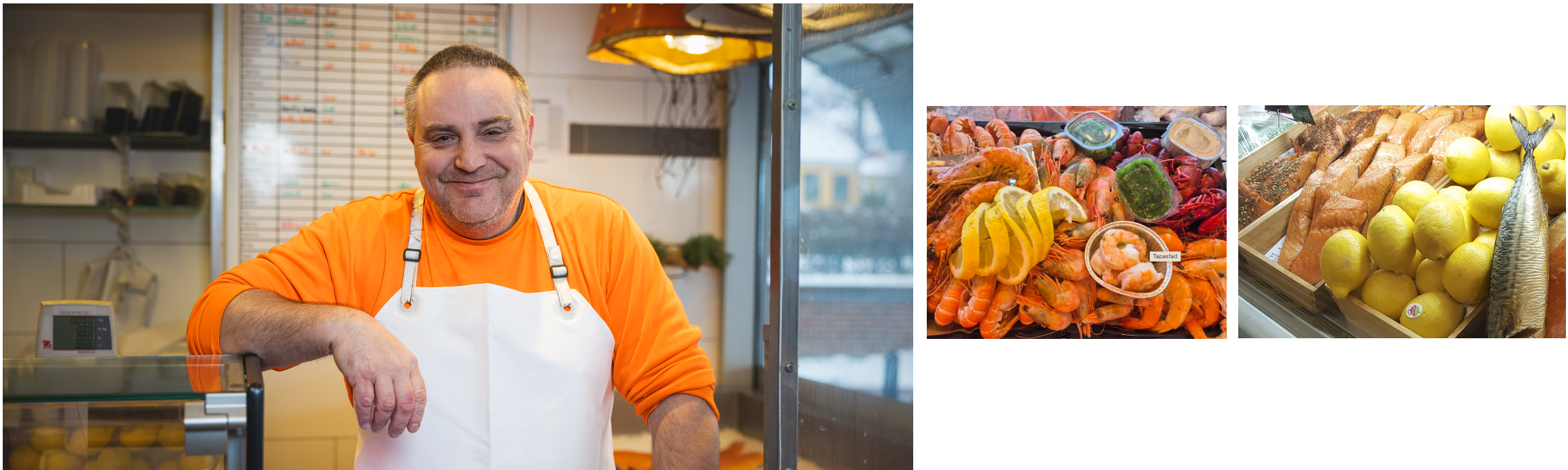 Banner Fisk